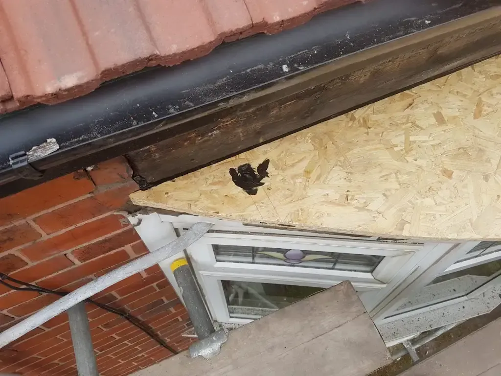 Roof repair work underway with scaffolding, tiles, and an OSB patch